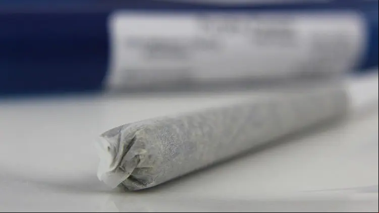 cannabis
