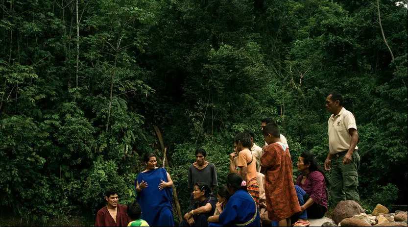 onu-indigenas