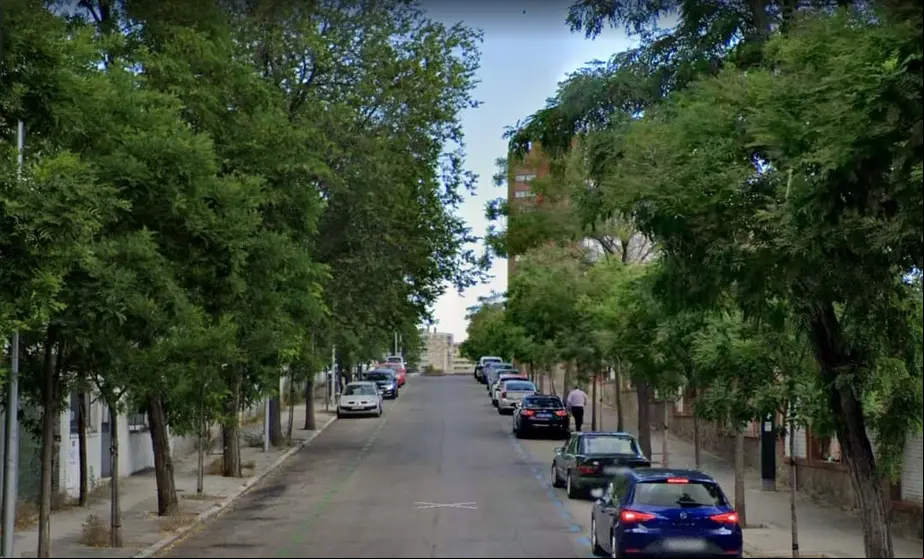 Rodriguez-Jaen_Frondosas-madrid