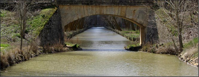 Ramal del canal de Campos