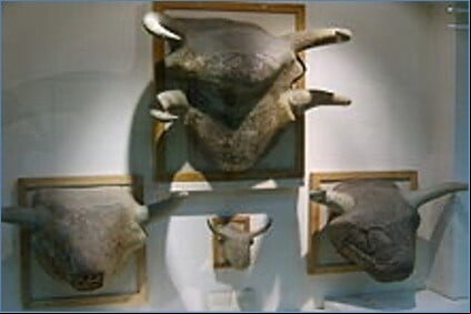 Cabezas de toro de Çatalhoyuk