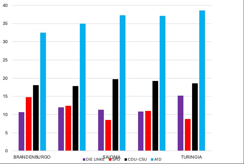 Gráfico 8